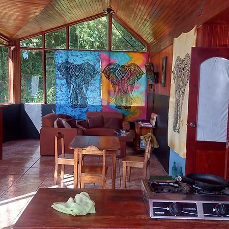 Finca Pantera Hotel Monteverde Eksteriør billede