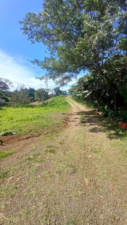 Finca Pantera Hotel Monteverde Eksteriør billede