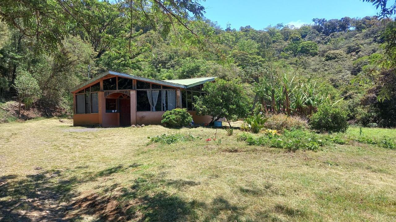 Finca Pantera Hotel Monteverde Eksteriør billede